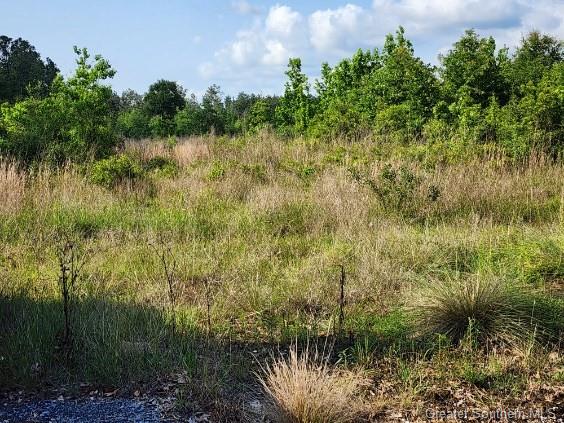 66 Rte 66 Road Dequincy, LA 70633 - Photo 3 of 9