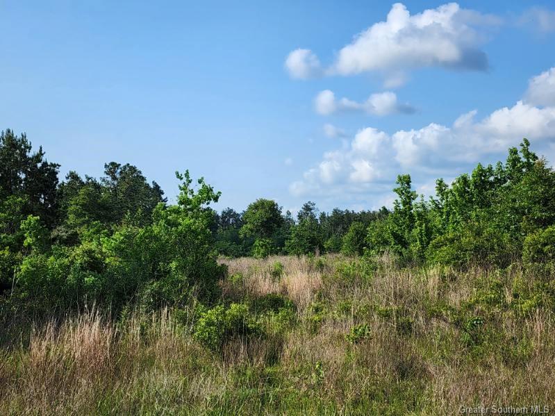 66 Rte 66 Road Dequincy, LA 70633 - Photo 4 of 9