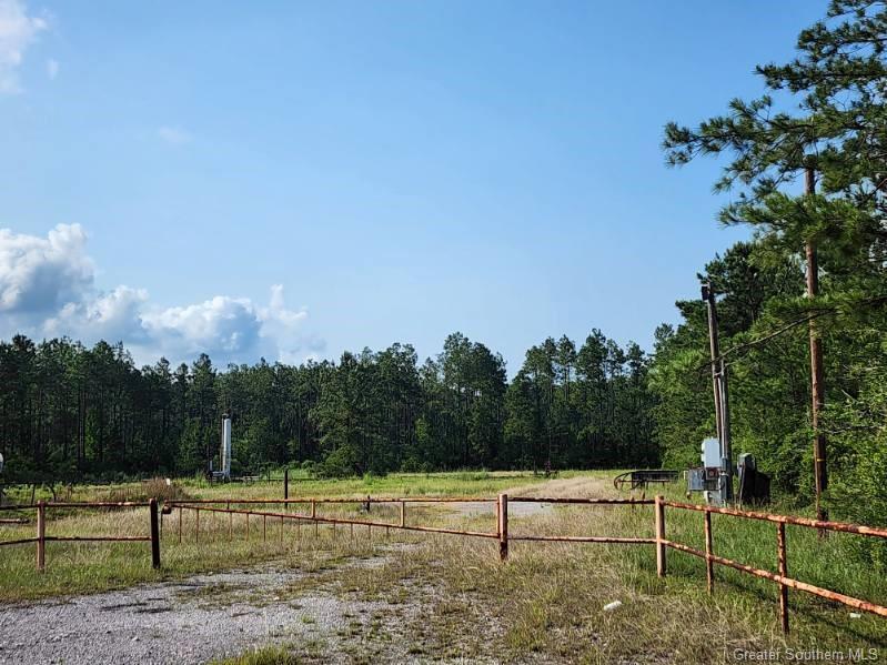 66 Rte 66 Road Dequincy, LA 70633 - Photo 5 of 9