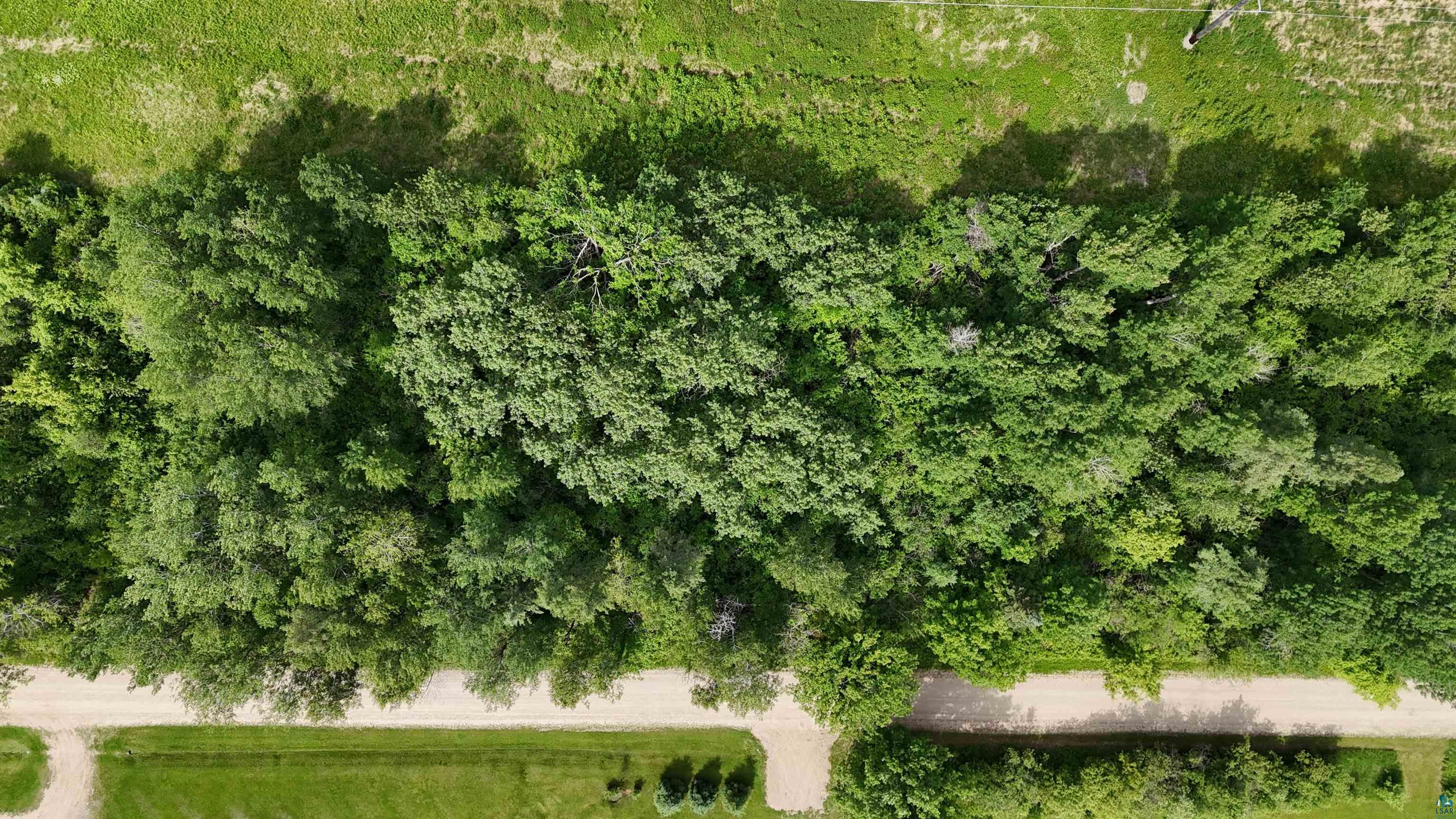 Lot 1 Parameter Road Deer River, MN 56636 - Photo 7 of 11 Gallery Image 7