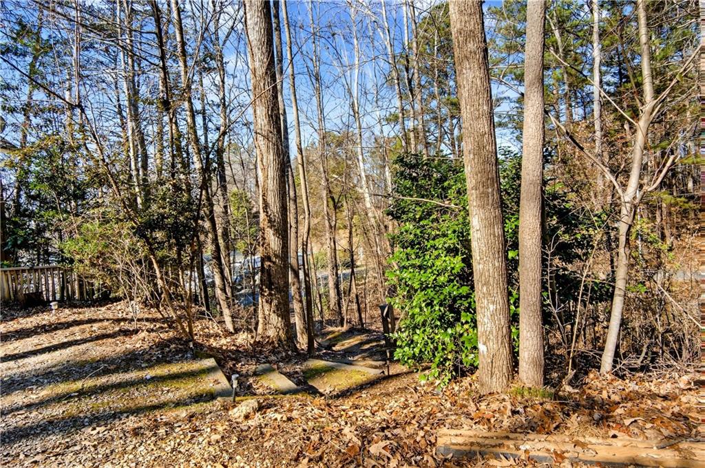 3016 Pathway Road Gainesville, GA 30501 - Photo 31 of 44 a view of backyard with wooden fence and trees