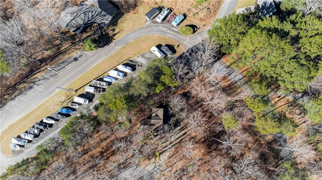 3016 Pathway Road Gainesville, GA 30501 - Photo 40 of 44 a view of a garden with a tree