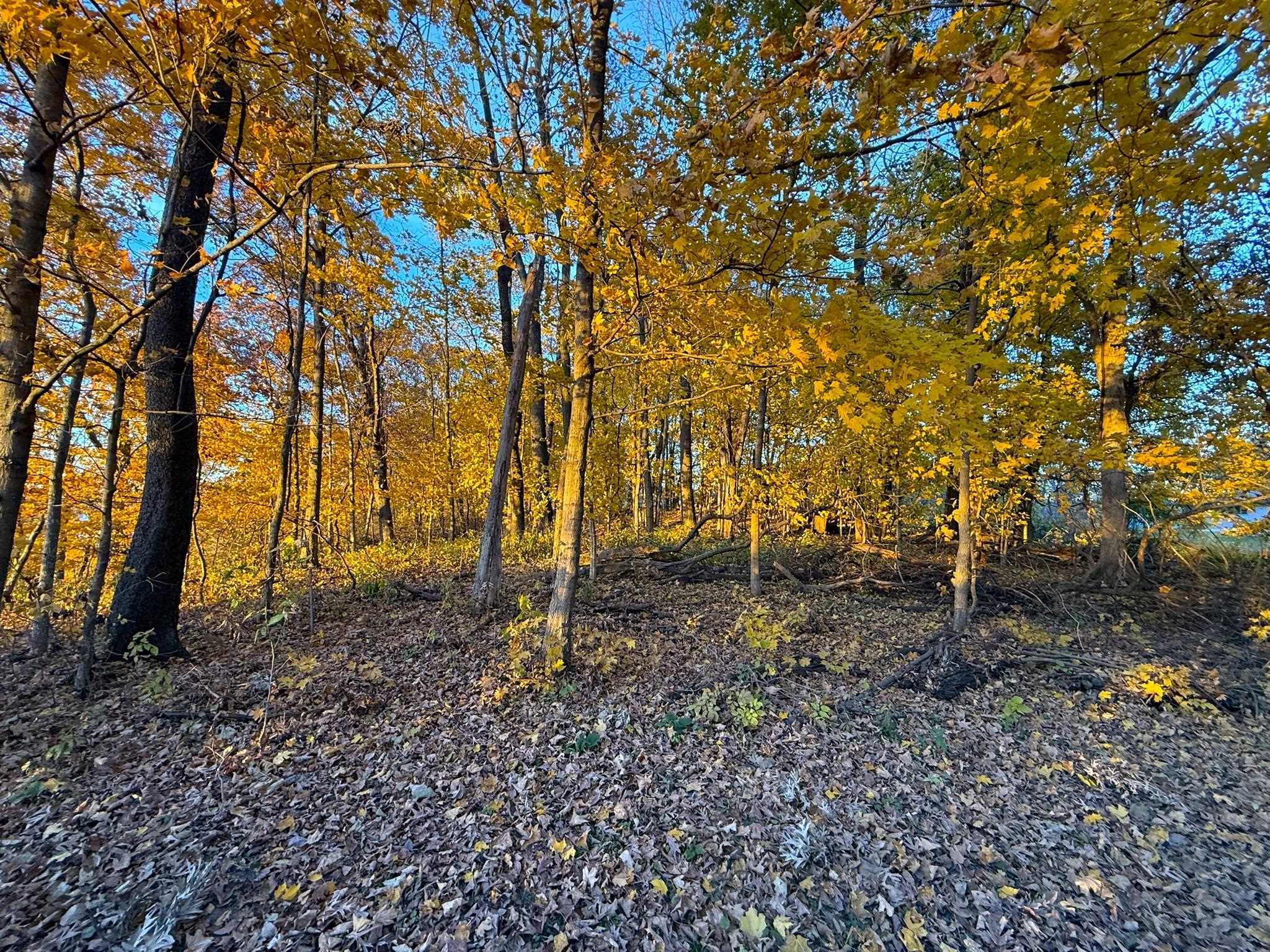 Lot #13 Mississippi Bagley, WI 53801 - Photo 14 of 33
