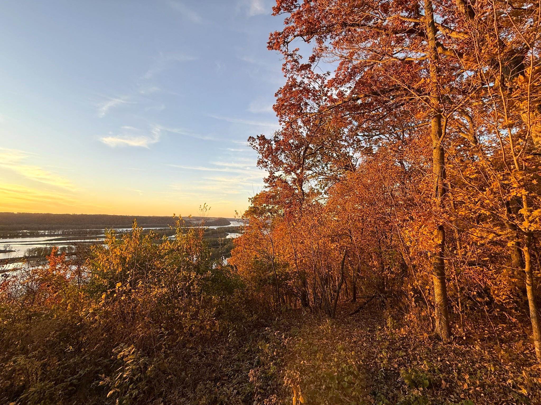 Lot #13 Mississippi Bagley, WI 53801 - Photo 19 of 33