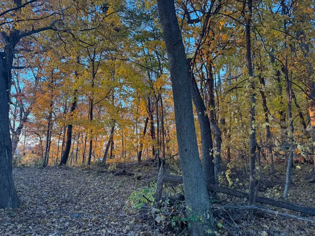 $124,900 | Lot #13 Mississippi, Bagley, WI 53801