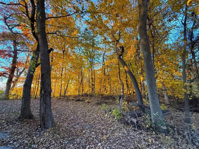 $124,900 | Lot #13 Mississippi, Bagley, WI 53801