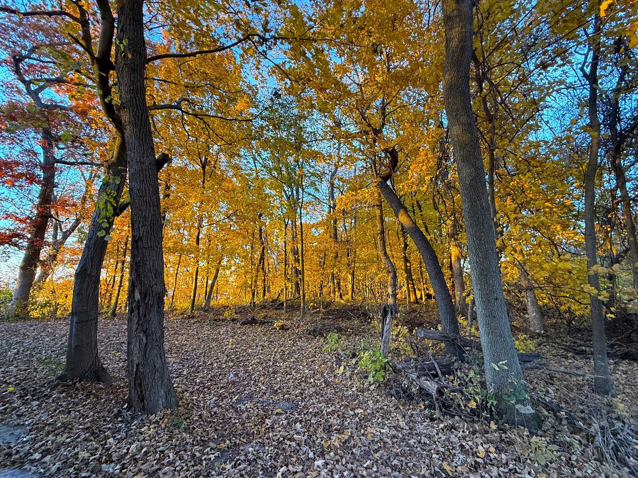 Lot #13 Mississippi Bagley, WI 53801 - Photo 6 of 33