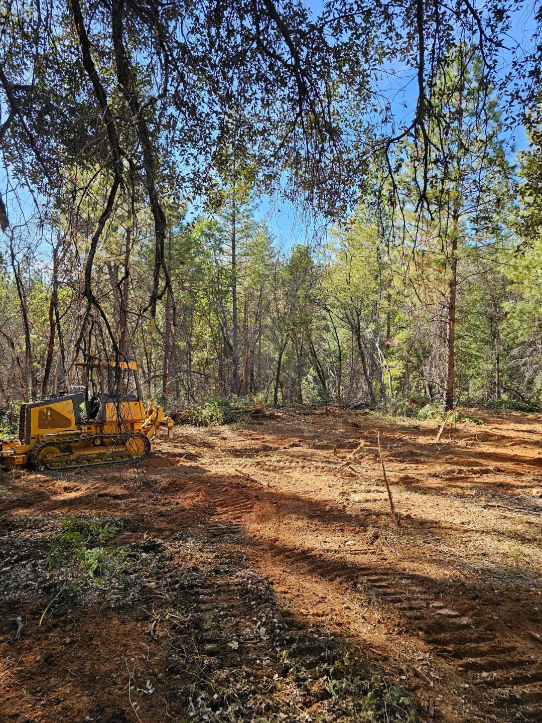 729 Bloomer Hill Road Berry Creek, CA 95916 - Photo 2 of 7