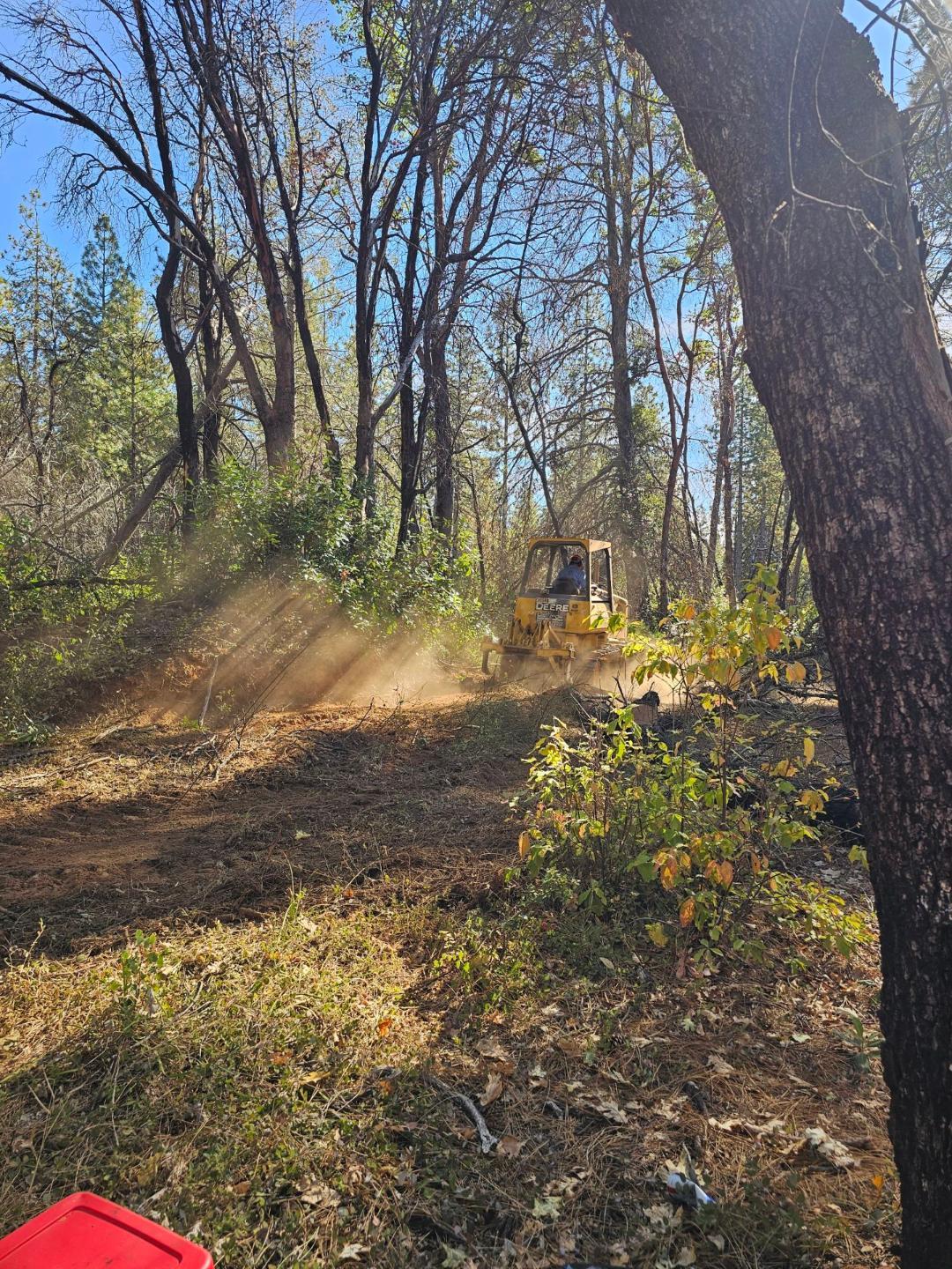 729 Bloomer Hill Road Berry Creek, CA 95916 - Photo 3 of 7