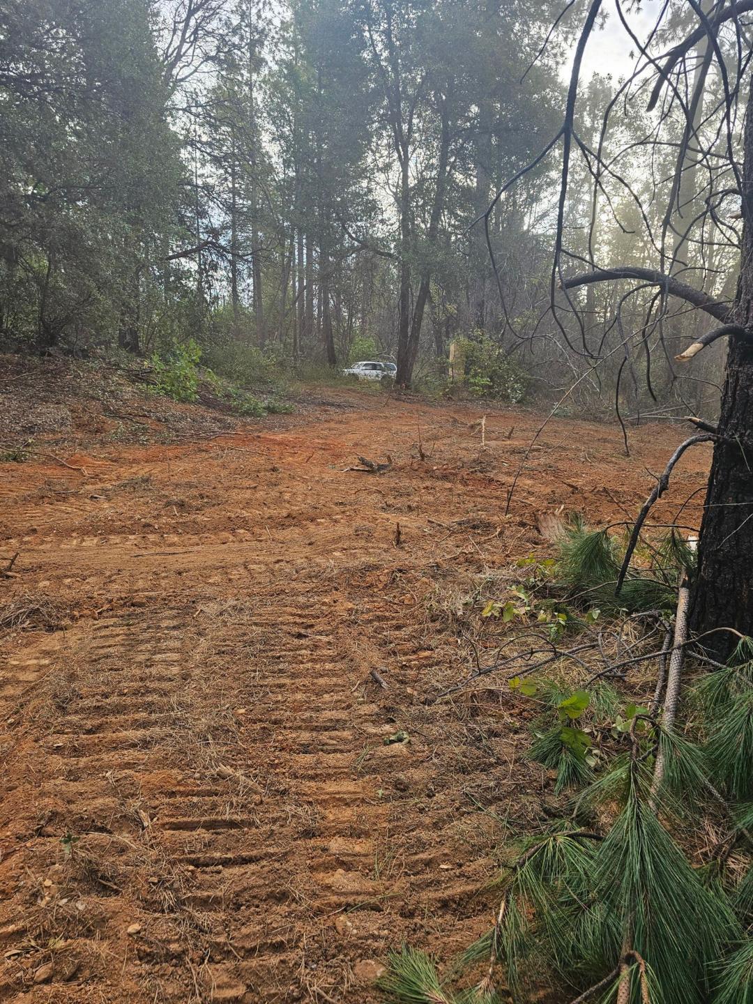 729 Bloomer Hill Road Berry Creek, CA 95916 - Photo 4 of 7