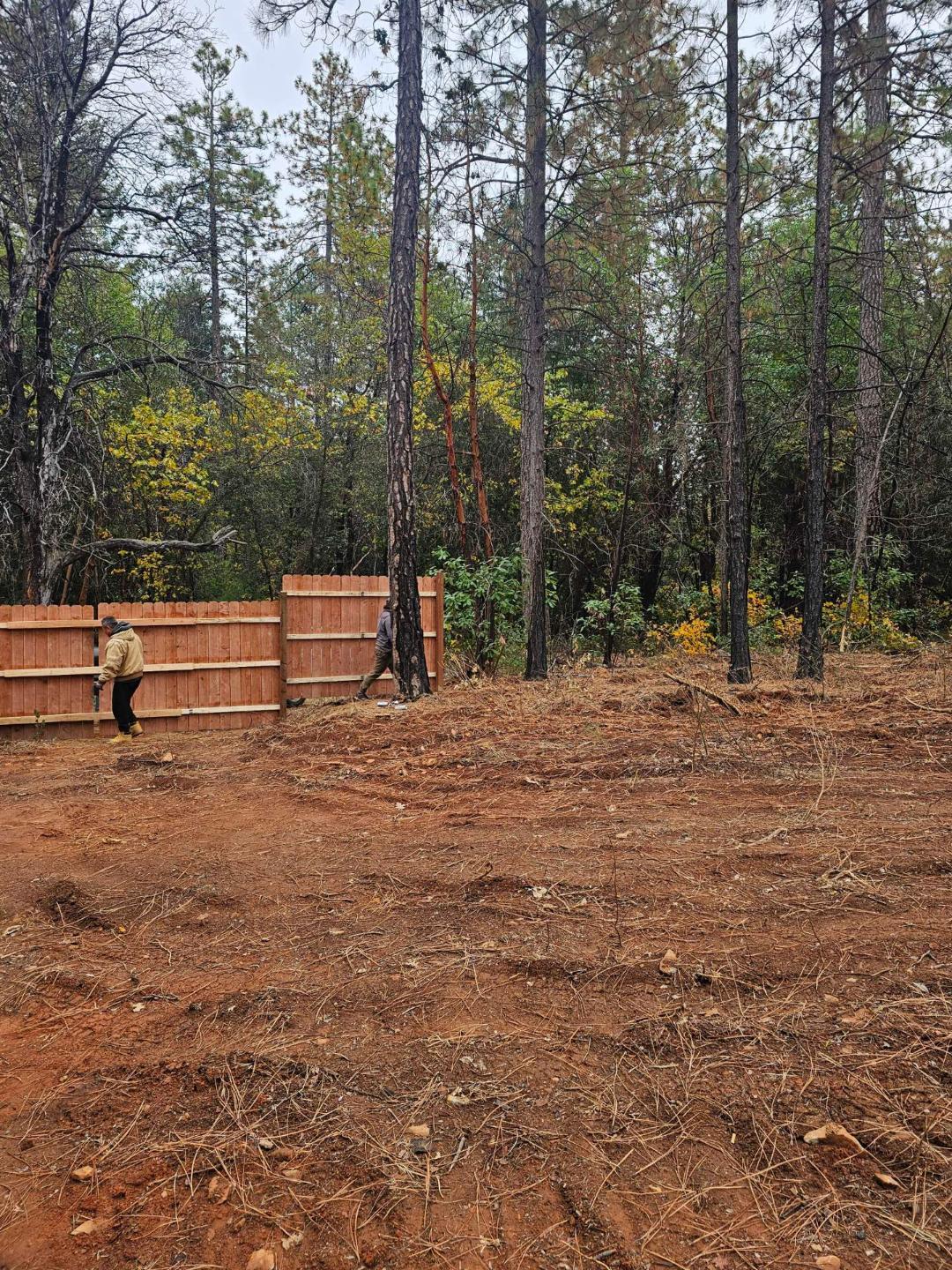 729 Bloomer Hill Road Berry Creek, CA 95916 - Photo 5 of 7