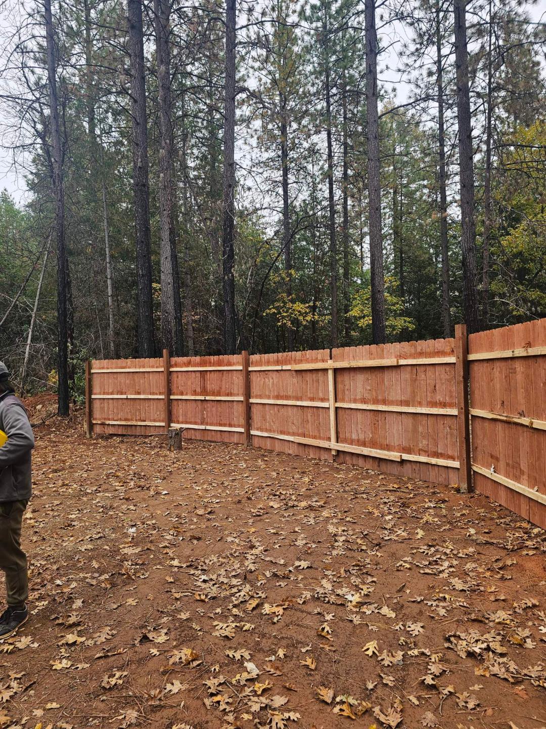 729 Bloomer Hill Road Berry Creek, CA 95916 - Photo 7 of 7