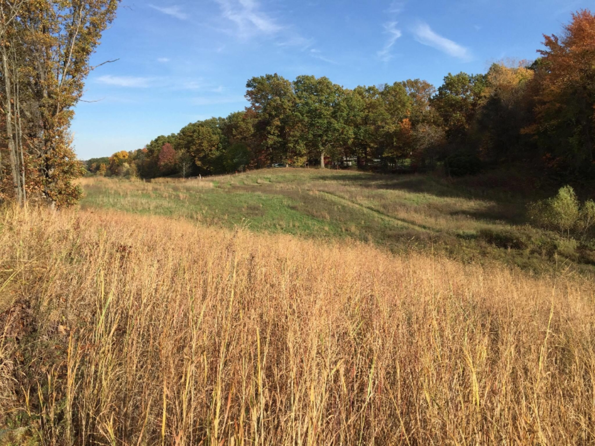 16631 29 Mile Road Albion, MI 49224 - Photo 3 of 32 22906466_10210830187011399_996500861_o