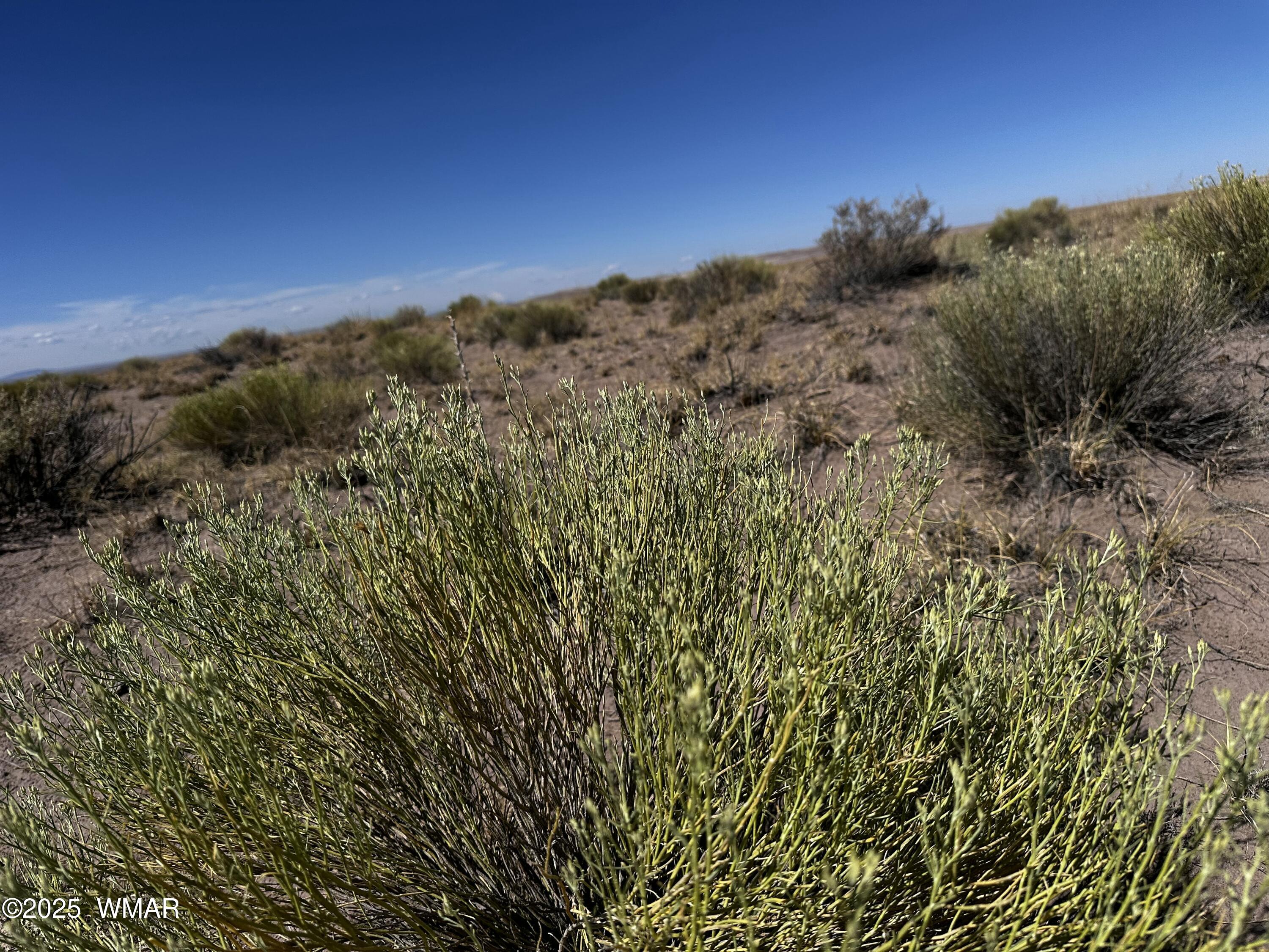 6 North Porter Road Joseph City, AZ 86032 - Photo 1 of 14 a view of a city