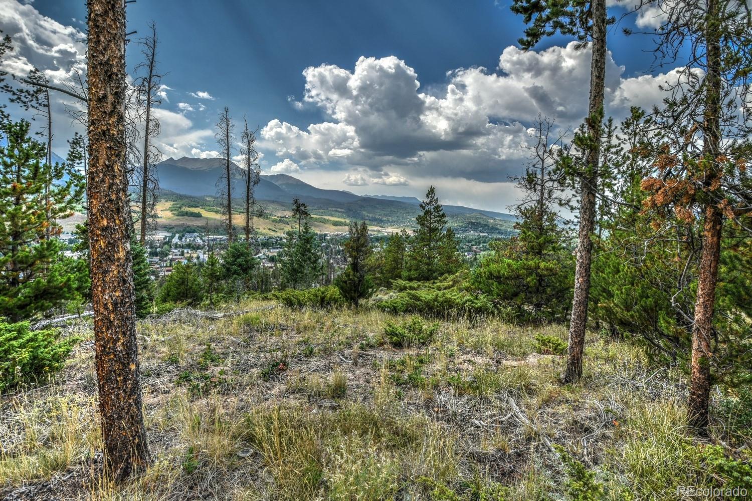 119 N Road Silverthorne, CO 80498 - Photo 28 of 29 Gallery Image 28