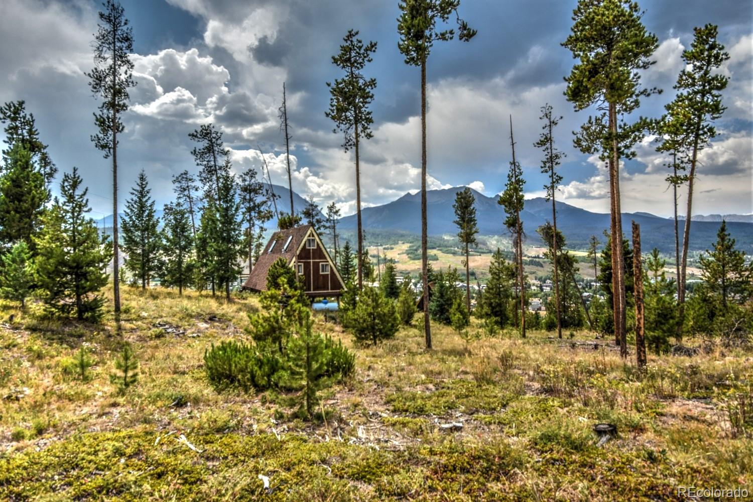 119 N Road Silverthorne, CO 80498 - Photo 3 of 29 Gallery Image 3