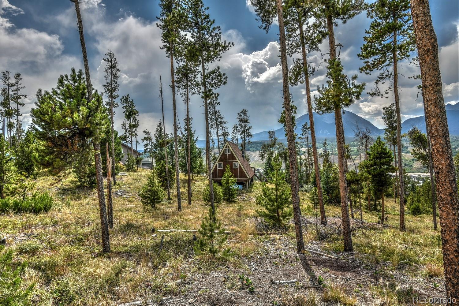 119 N Road Silverthorne, CO 80498 - Photo 4 of 29 Gallery Image 4