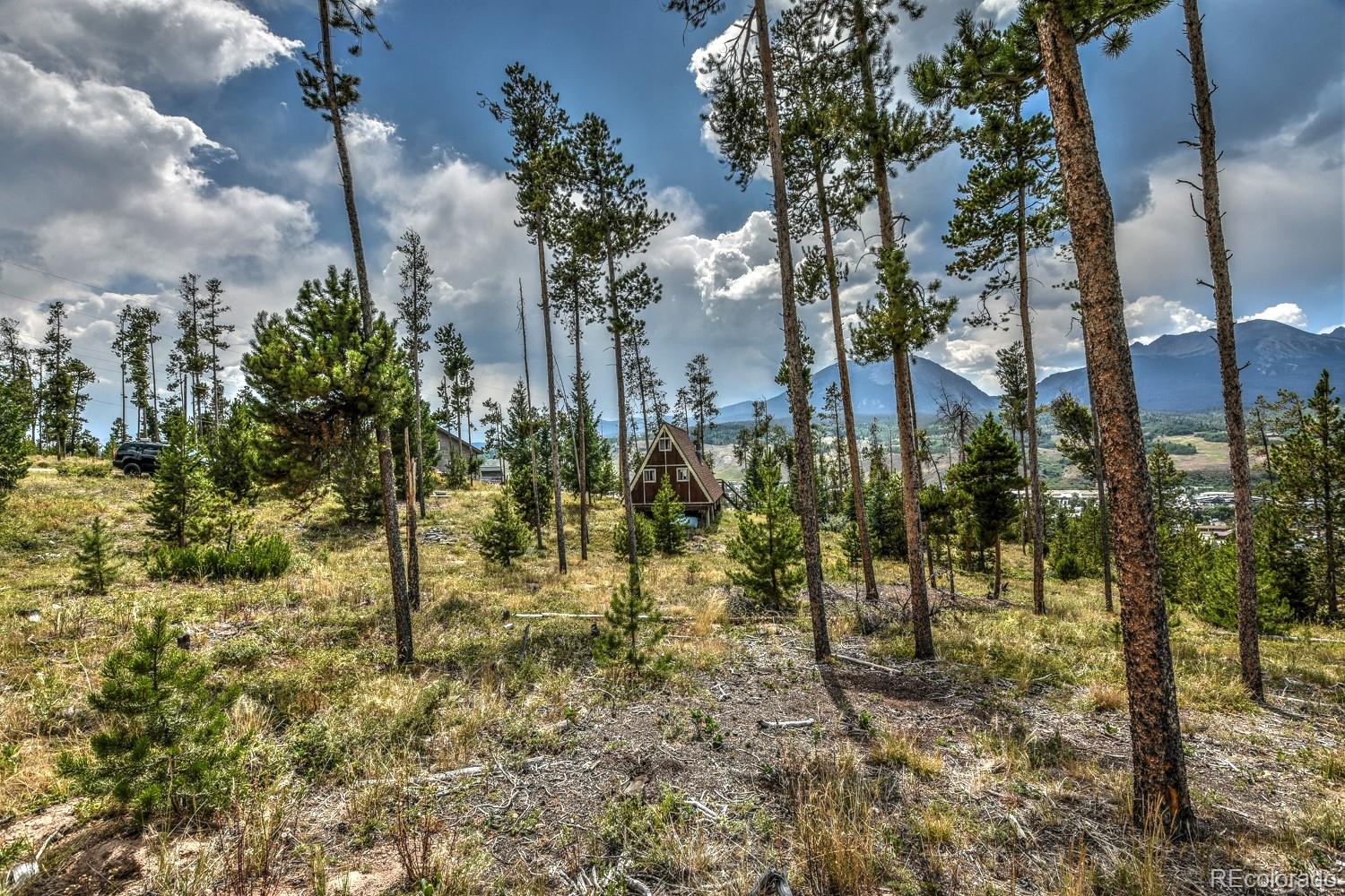 119 N Road Silverthorne, CO 80498 - Photo 5 of 29 Gallery Image 5