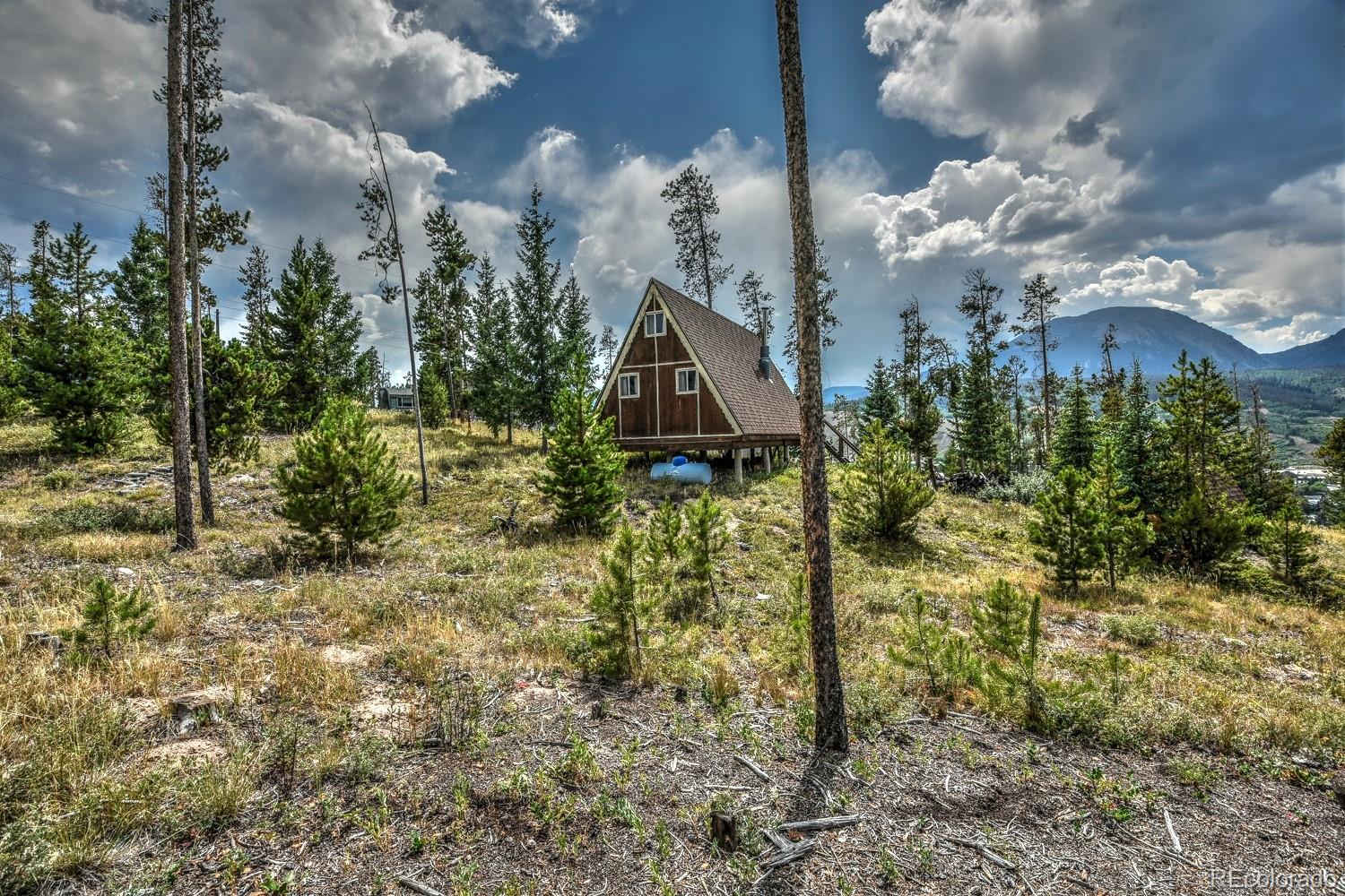 119 N Road Silverthorne, CO 80498 - Photo 6 of 29 Gallery Image 6