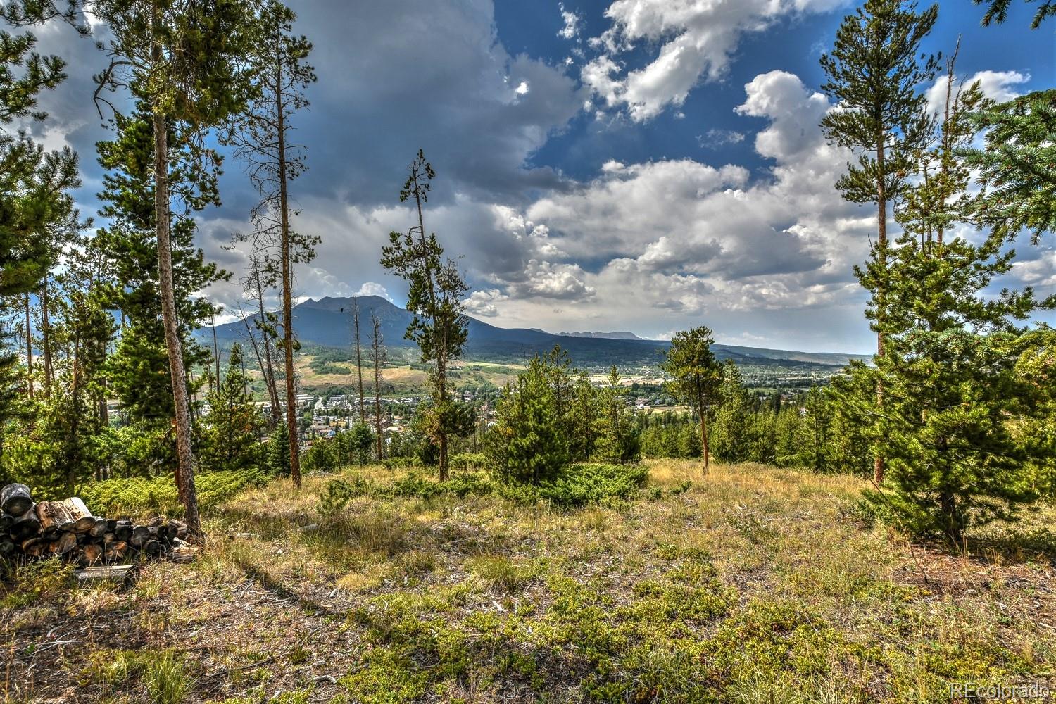 119 N Road Silverthorne, CO 80498 - Photo 8 of 29 Gallery Image 8