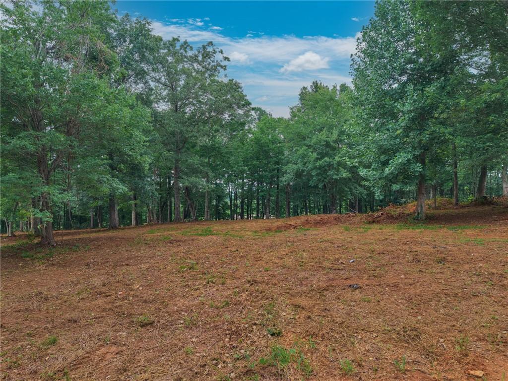 100 Hill City Road Jasper, GA 30143 - Photo 29 of 39