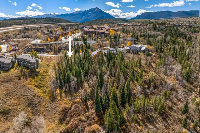 a view of a city with large trees