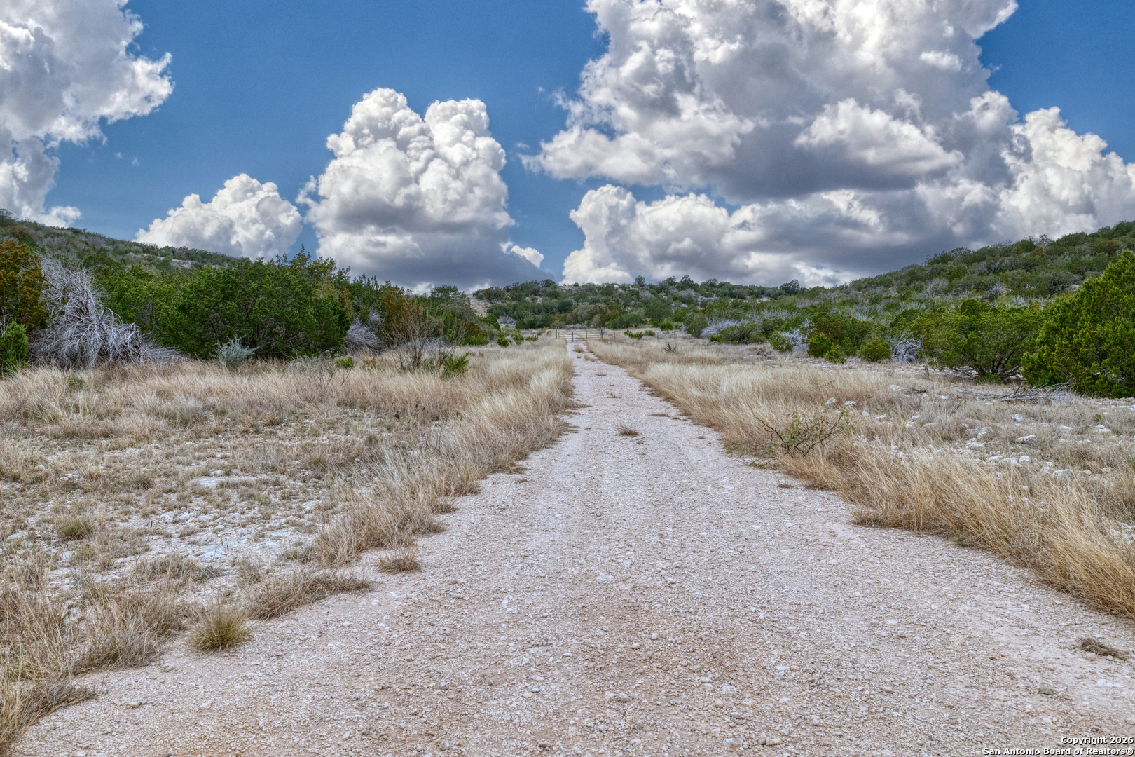 25 Sd 65065 Dusty Rose Ranch Rocksprings, TX 78880 - Photo 8 of 66