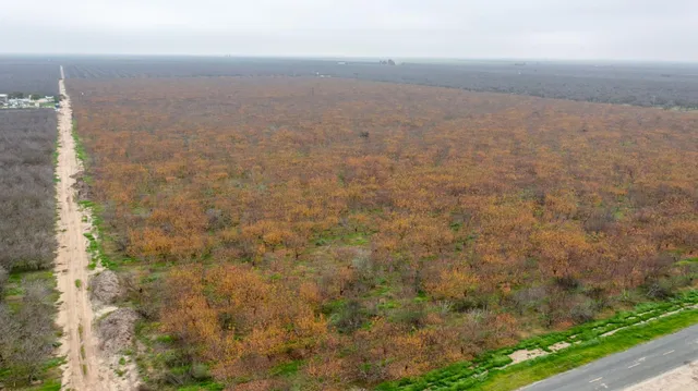 a view of a lake with a city