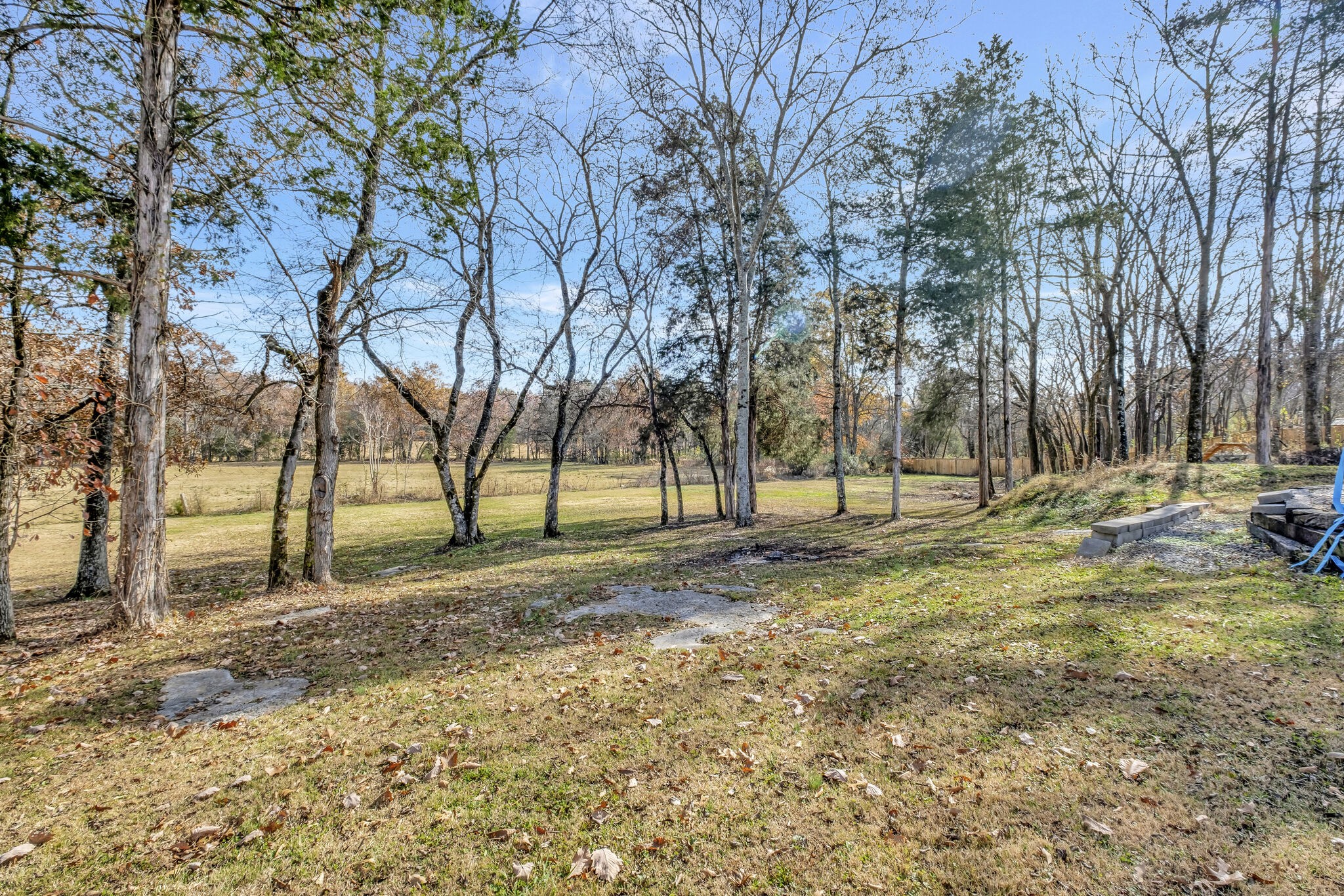 710 Brummitt Road Castalian Springs, TN 37031 - Photo 7 of 42 Gallery Image 7