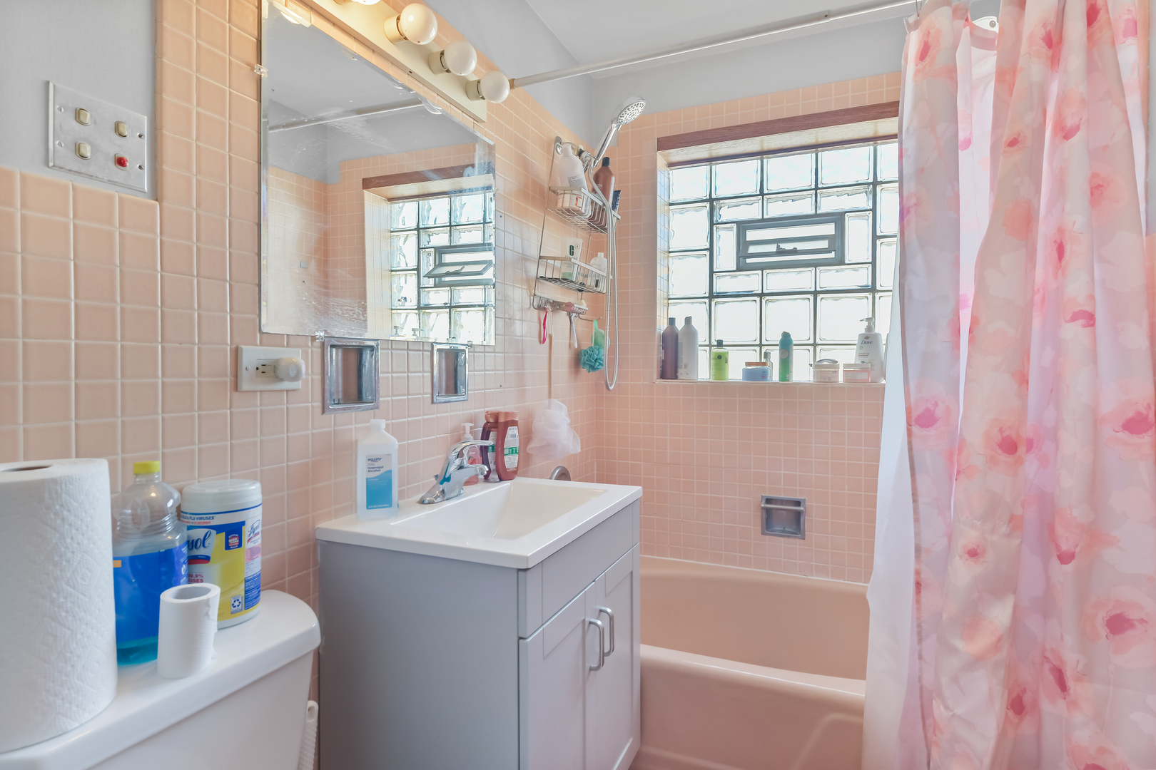 7124 West Higgins Avenue Chicago, IL 60656 - Photo 20 of 33 a bathroom with a sink vanity tub and a shower