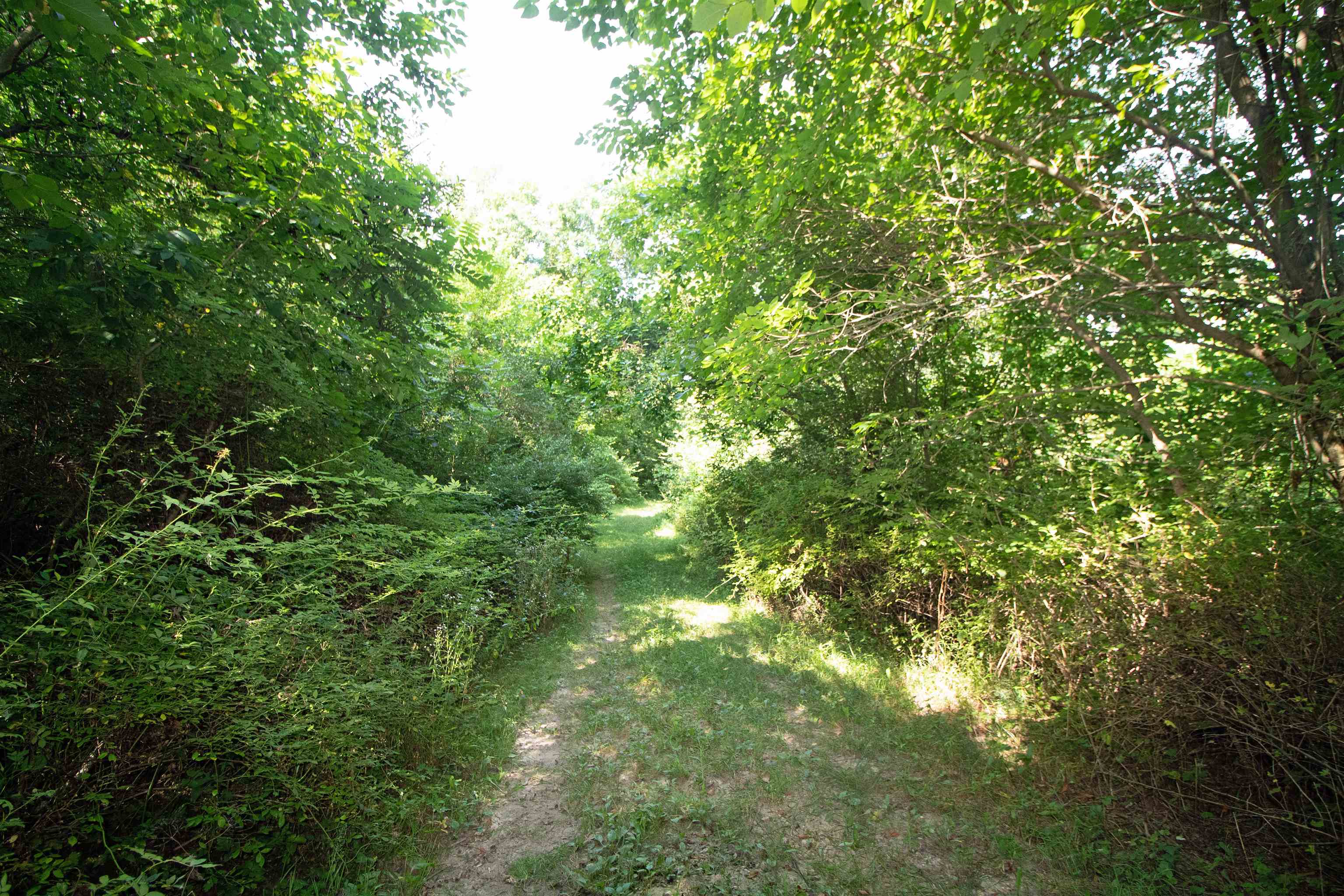 40-acres Co Hwy H Ridgeway, WI 53582 - Photo 15 of 27 Gallery Image 15