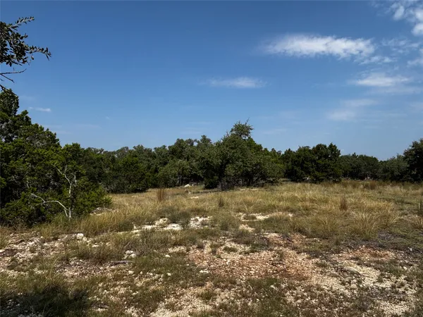a view of outdoor space with trees