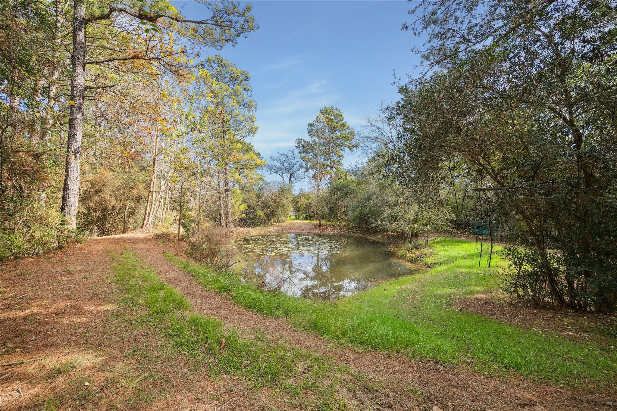 11 Willowcreek Ranch Road Tomball, TX 77377 - Photo 12 of 49 Just behind the barn and the open pasture are meandering trails through the elevation and mature trees and a half acre pond stocked with catfish, bass, crappie and bluegill--perfect for fishing!
