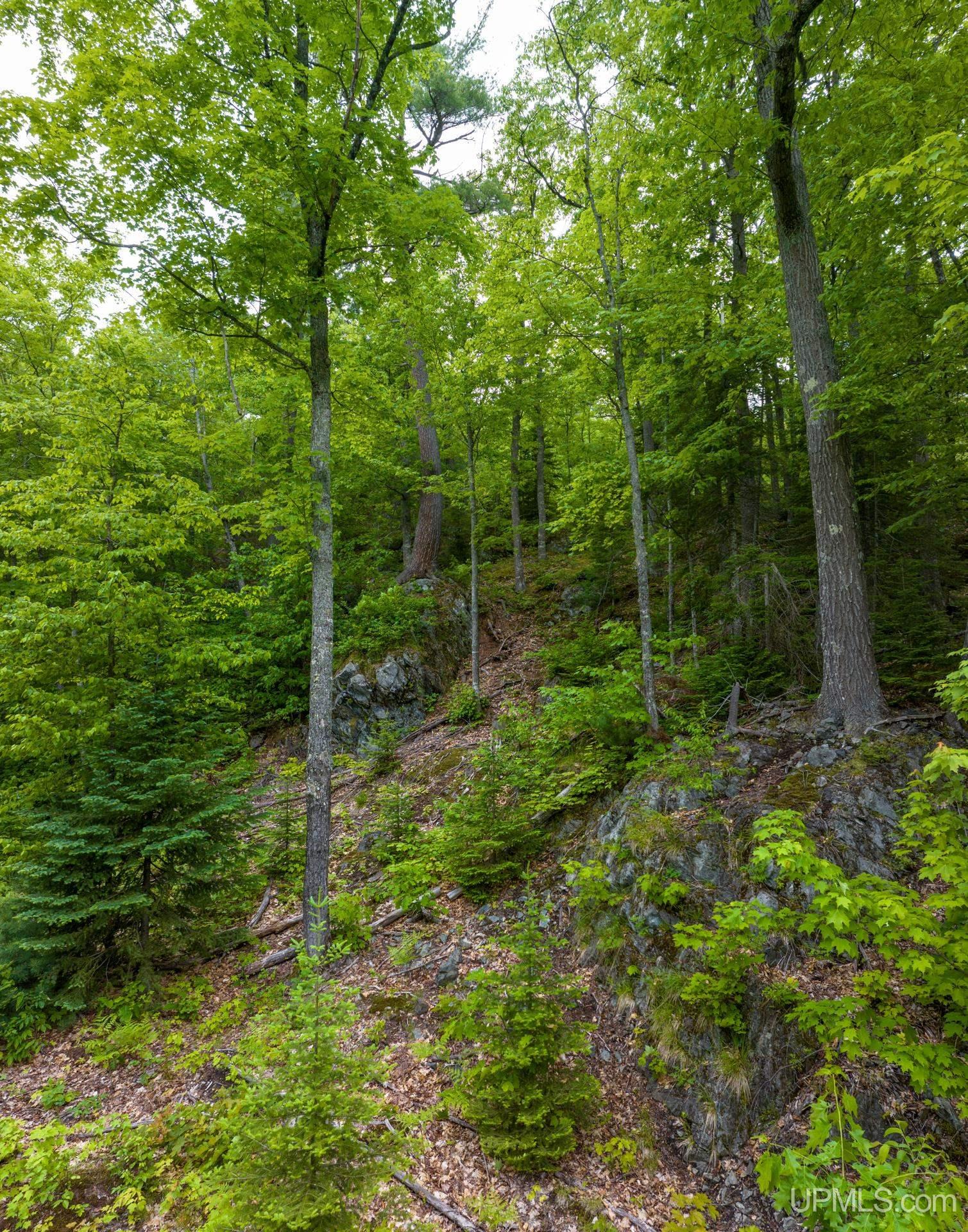 Tbd Tbd Co Road Negaunee, MI 49866 - Photo 32 of 47