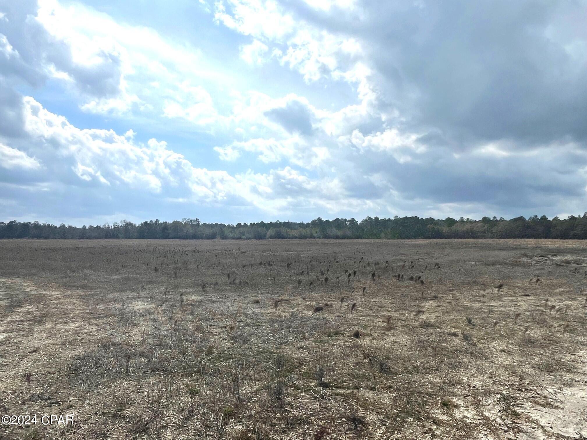 335-acres R M Ward Road Ponce de Leon, FL 32455 - Photo 23 of 37 Gallery Image 23