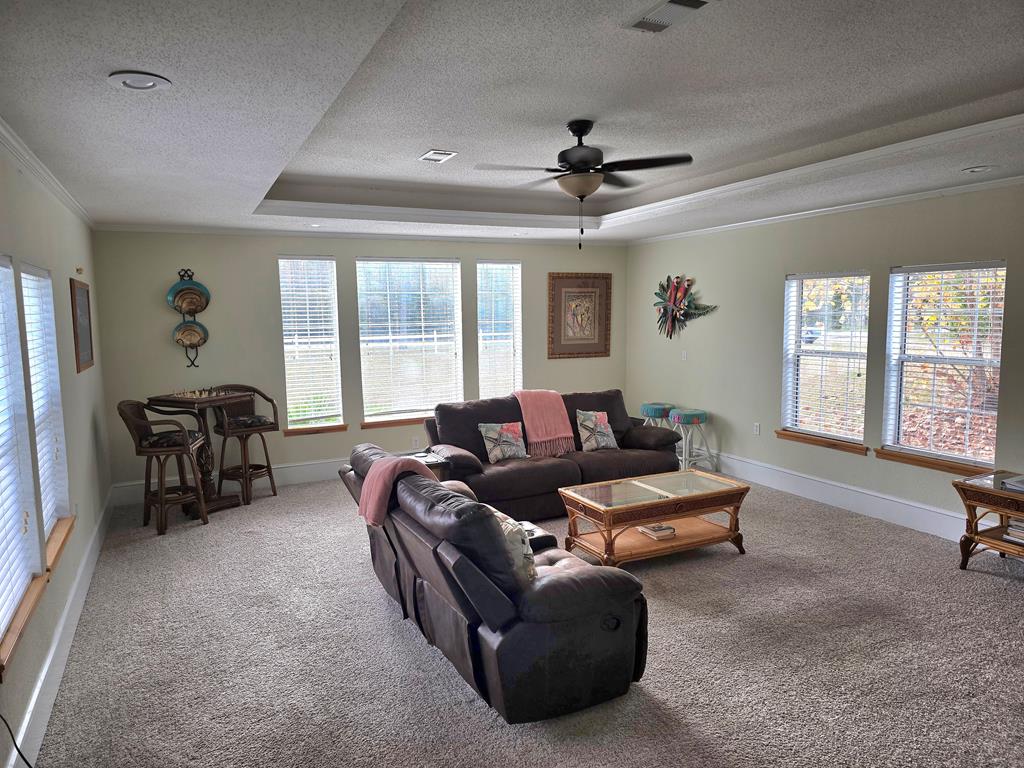 737 Mill Road Carrabelle, FL 32322 - Photo 4 of 44