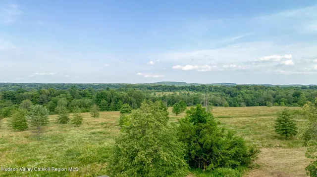 a view of a lush green forest with lots of trees