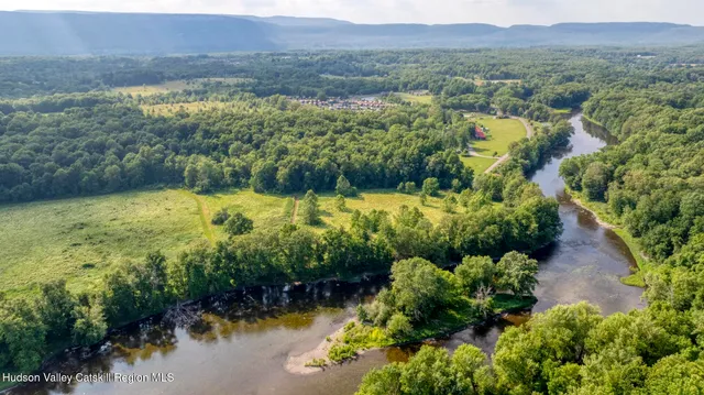 a view of a forest with a lake