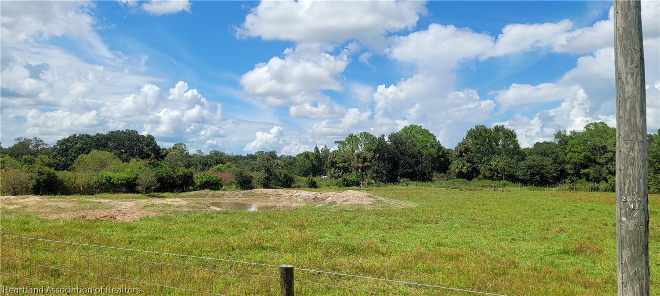 0 Morgan Road Zolfo Springs, FL 33890 - Photo 4 of 6 Gallery Image 4