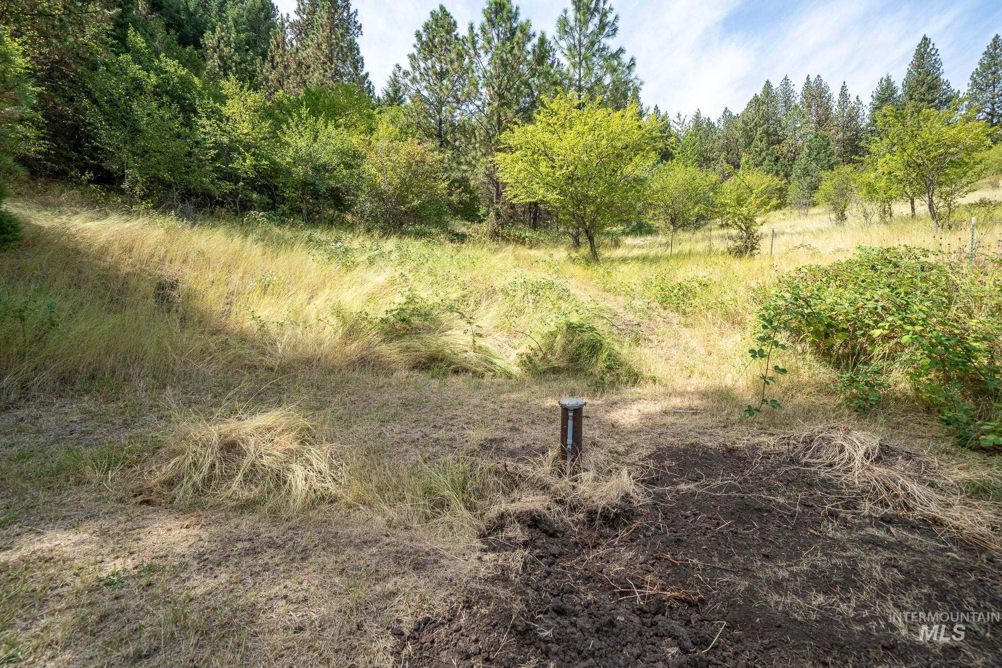 161 Saddle Ridge Road White Bird, ID 83554 - Photo 48 of 49 Additional content