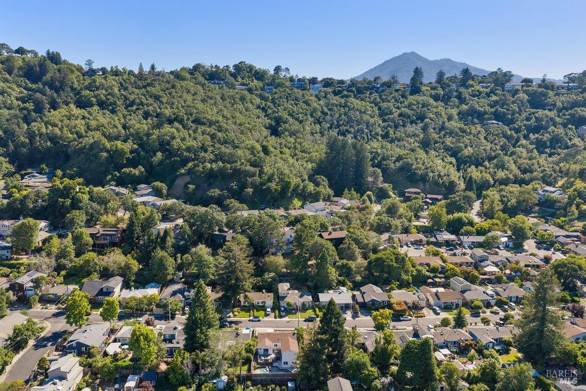 35 Hillview Avenue San Rafael, CA 94901 - Photo 47 of 49