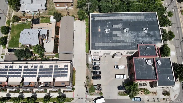a view of a yard with plants and a large tree