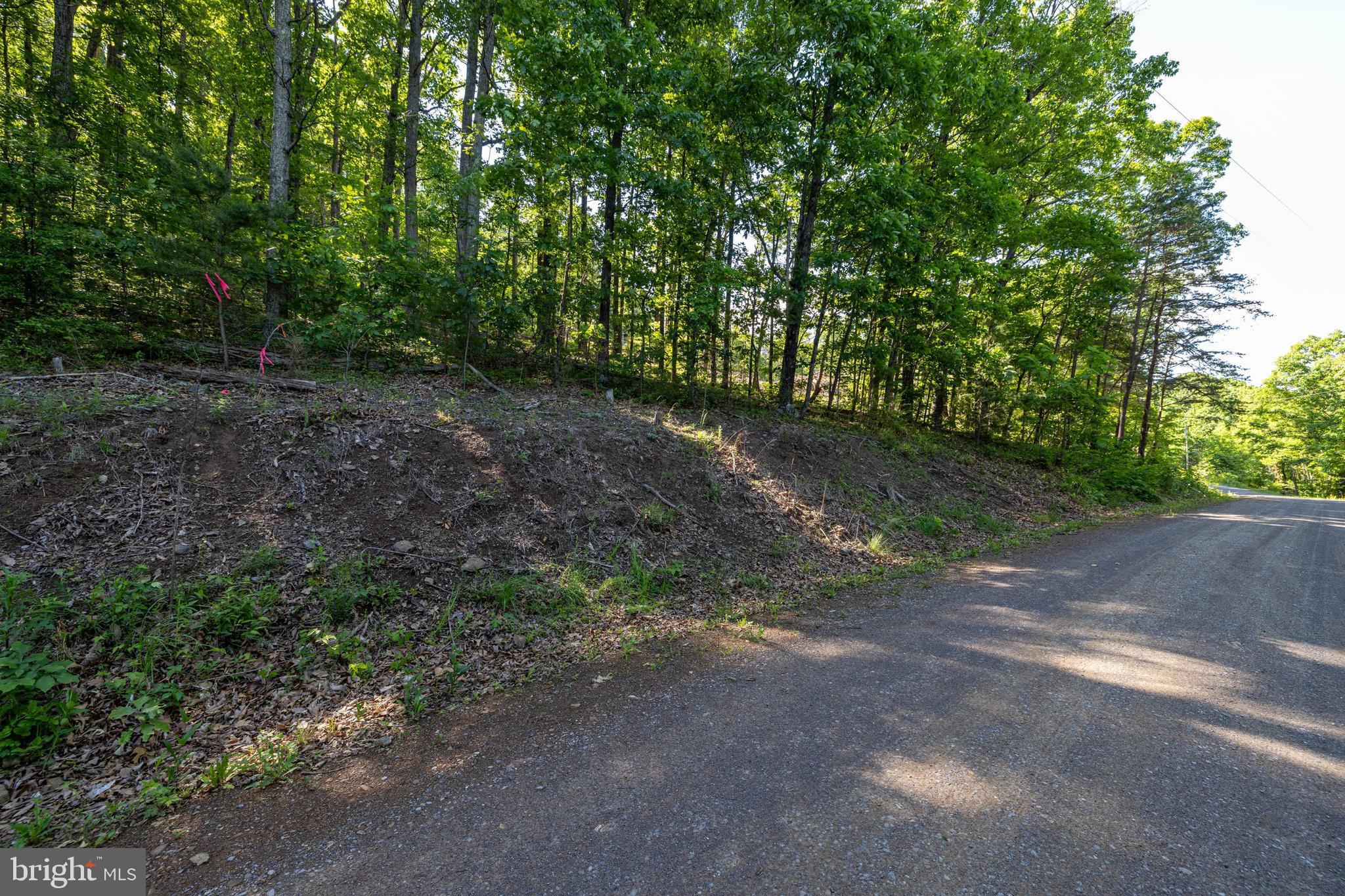 0 Cross Mountain Road Luray, VA 22835 - Photo 50 of 51