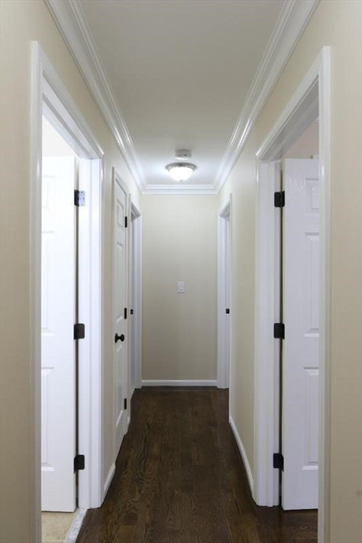 6 Guild Street, Unit 6 Boston, MA 02119 - Photo 9 of 18