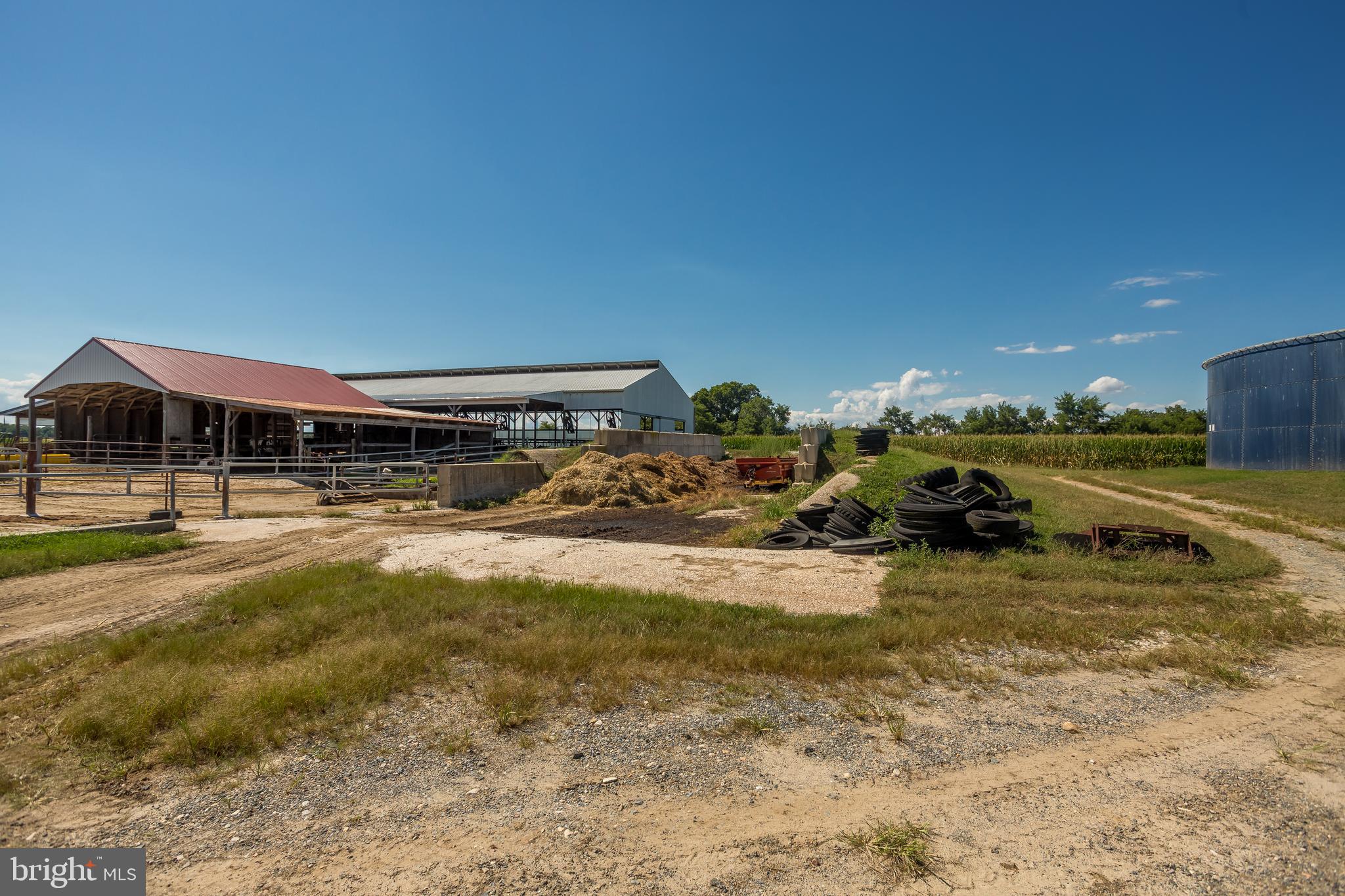 10380 Chapel Road Cordova, MD 21625 - Photo 67 of 95 Gallery Image 67