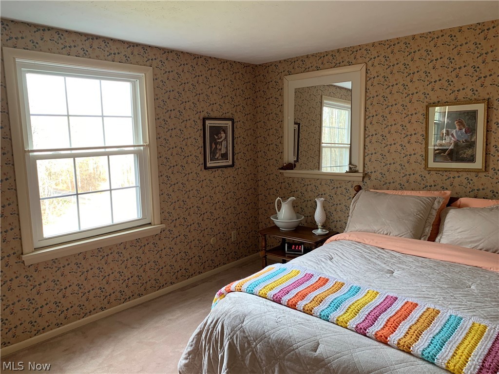 12724 Huntoon Road Painesville, OH 44077 - Photo 20 of 34 Gallery Image 20