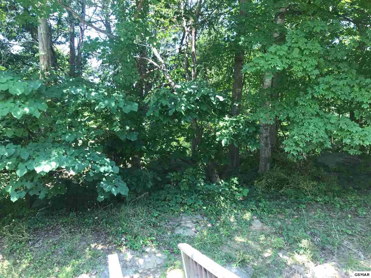 2093 Sims Road Dandridge, TN 37725 - Photo 20 of 22 Gallery Image 20