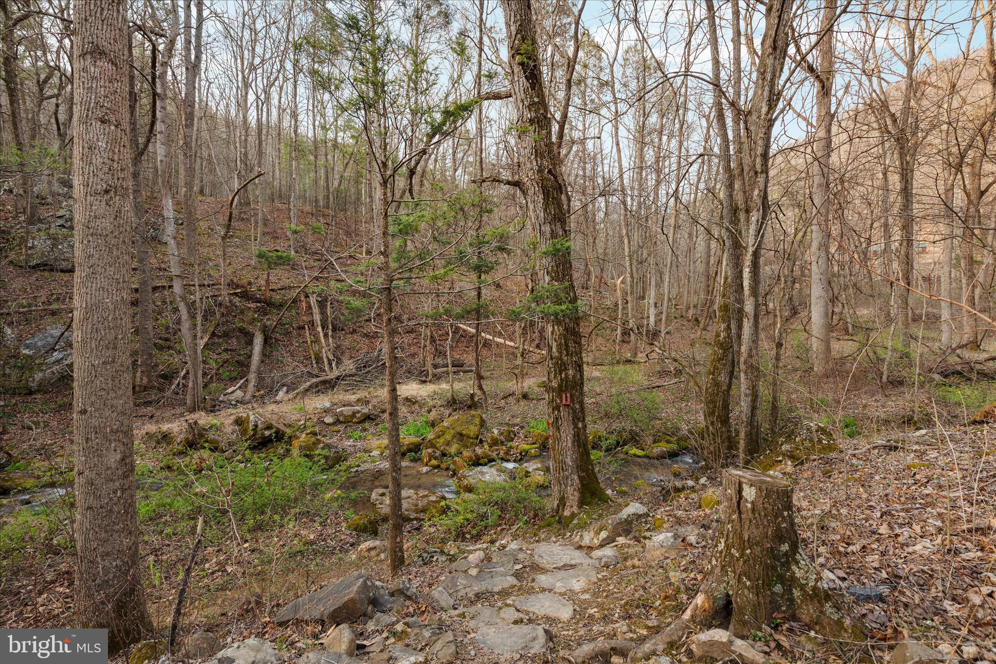 949 Dumpling Run Road Moorefield, WV 26836 - Photo 28 of 41 2E6A9256_949 Dumpling Run Rd - Absolute Altitude -