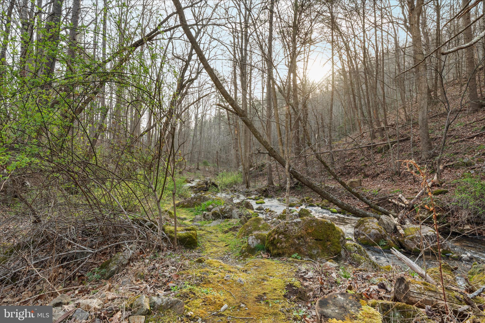 949 Dumpling Run Road Moorefield, WV 26836 - Photo 30 of 41 2E6A9266_949 Dumpling Run Rd - Absolute Altitude -
