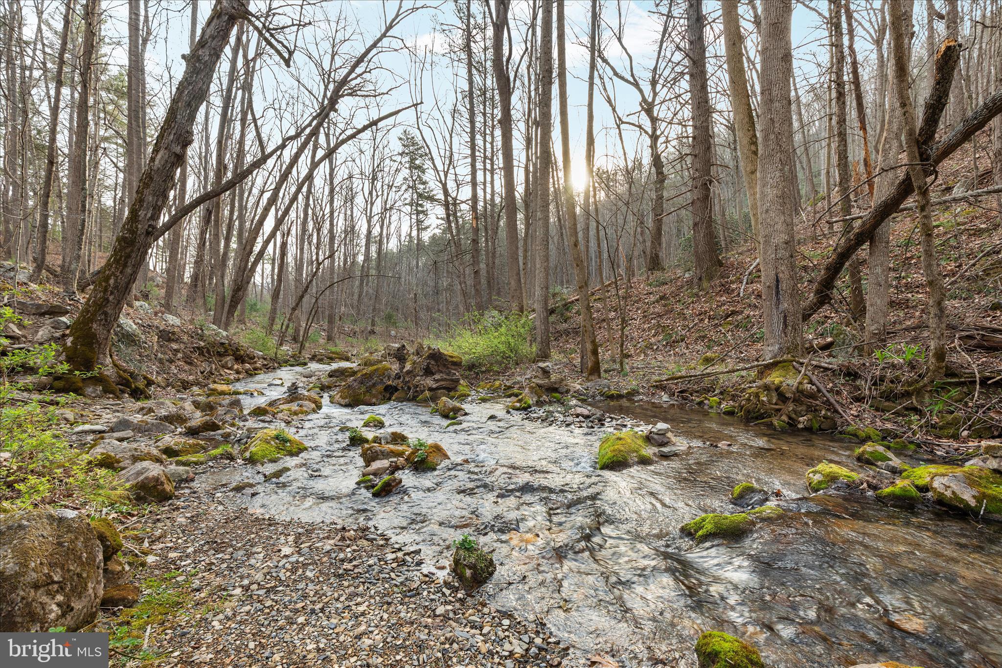 949 Dumpling Run Road Moorefield, WV 26836 - Photo 31 of 41 2E6A9276_949 Dumpling Run Rd - Absolute Altitude -